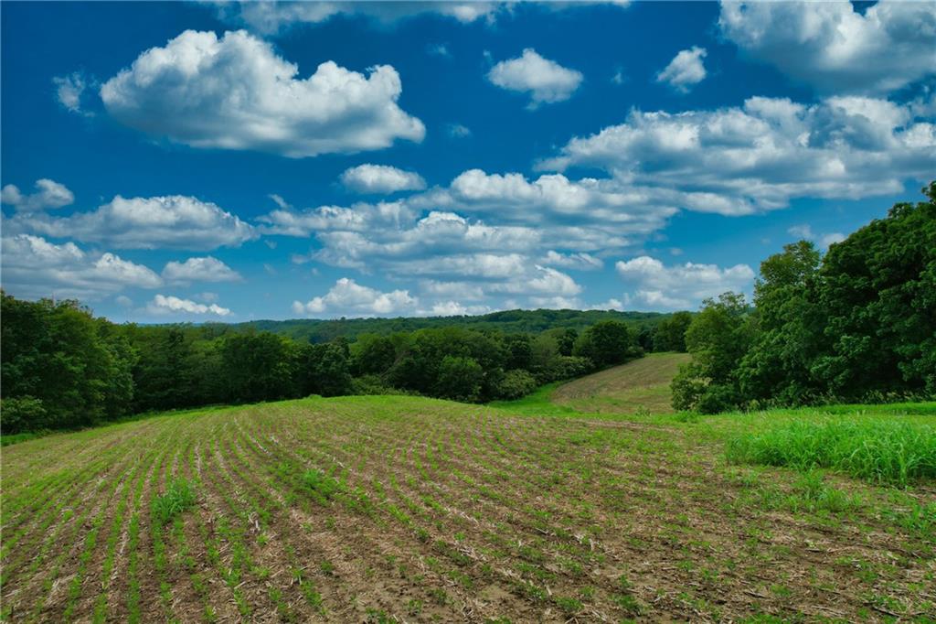 Brown Road Rushville, MO 64484 - Photo 8 of 16