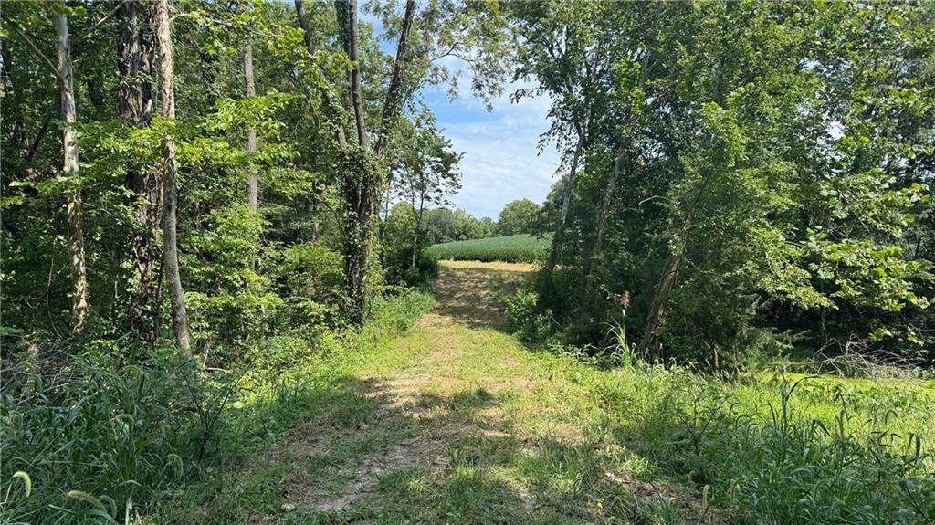 Brown Road Rushville, MO 64484 - Photo 9 of 16