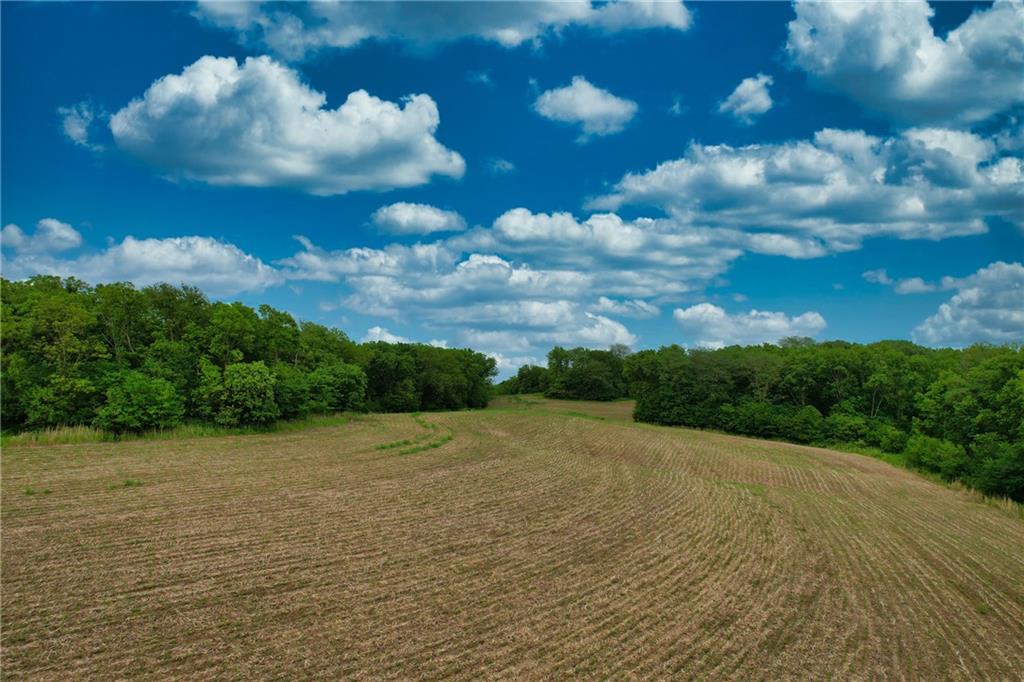 Brown Road Rushville, MO 64484 - Photo 10 of 16
