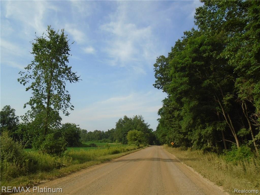A2 Hartland Road Fenton, MI 48430 - Photo 5 of 6