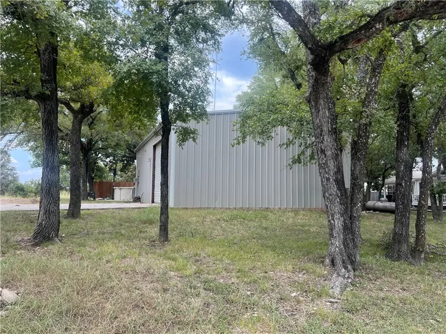 a view of a trees in a yard
