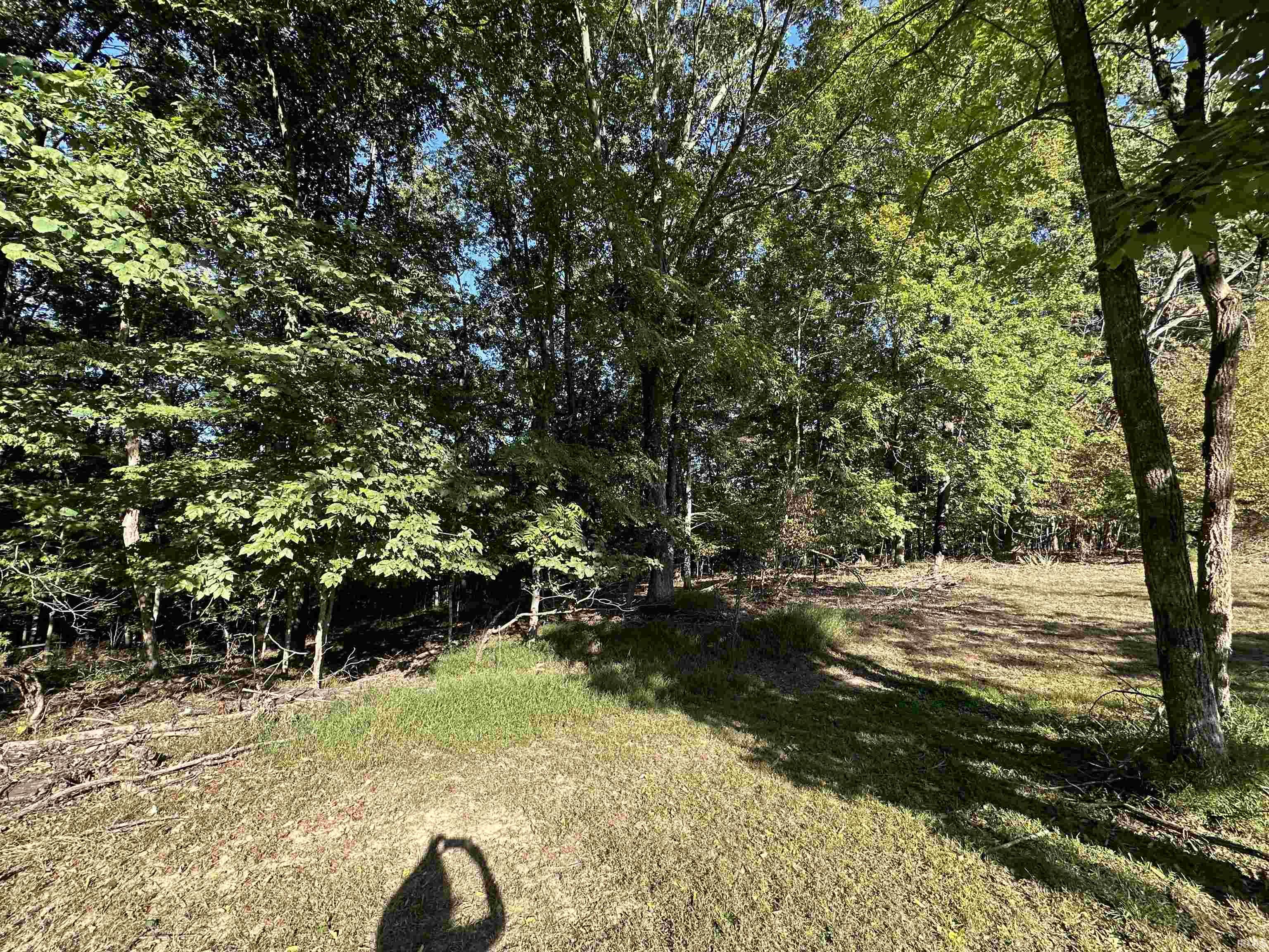 7555 East Rush Ridge Road Bloomington, IN 47401 - Photo 6 of 7