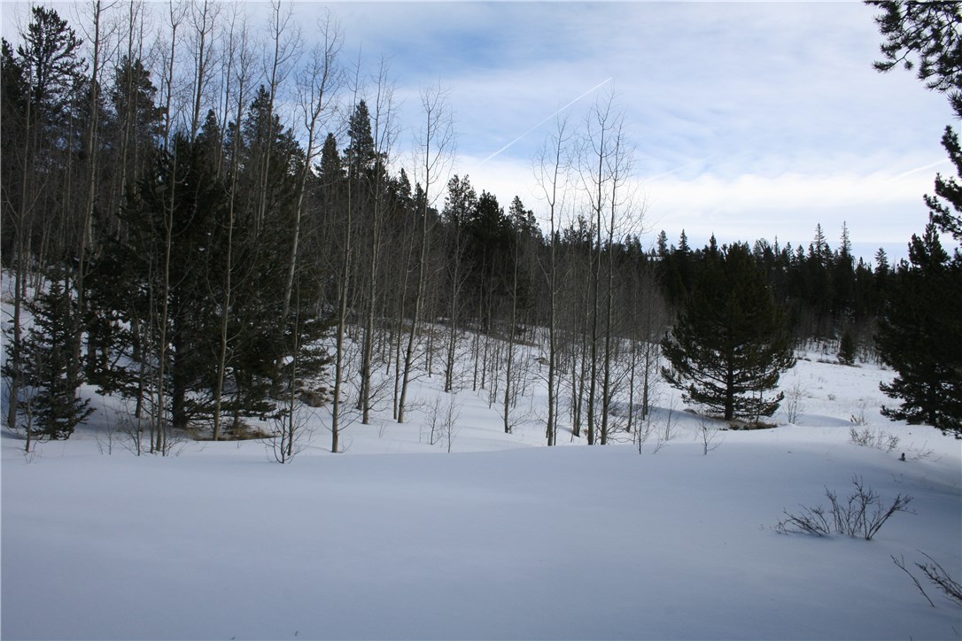258 County Road 665 Road Fairplay, CO 80440 - Photo 19 of 22 Gallery Image 19