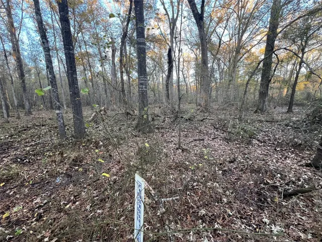 $250,000 | 0 An County Road 354, Palestine, TX 75801