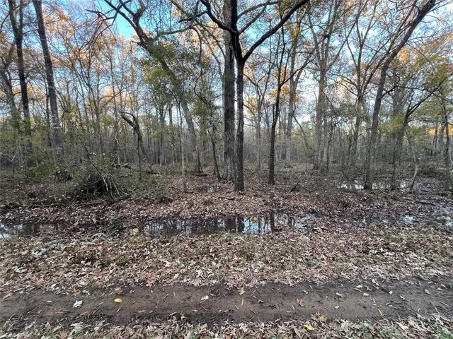 $250,000 | 0 An County Road 354, Palestine, TX 75801