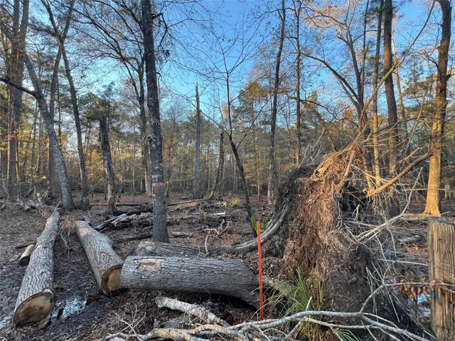 $250,000 | 0 An County Road 354, Palestine, TX 75801