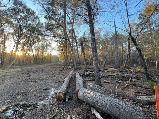 $250,000 | 0 An County Road 354, Palestine, TX 75801