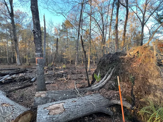 $250,000 | 0 An County Road 354, Palestine, TX 75801