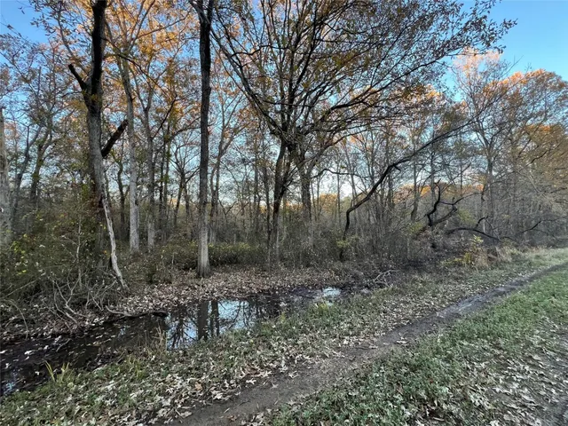 $250,000 | 0 An County Road 354, Palestine, TX 75801