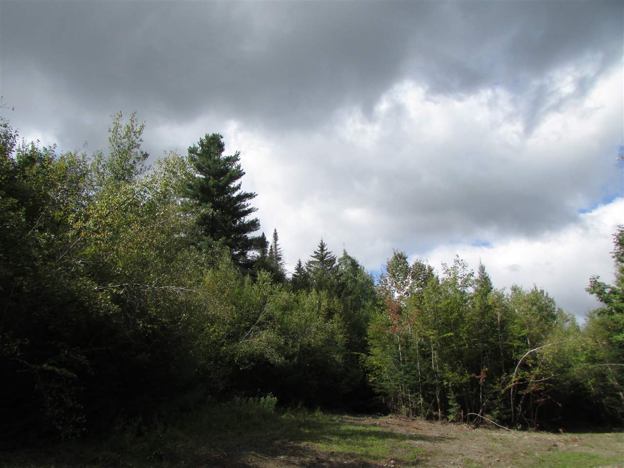 0 Turcott Road Wolcott, VT 05680 - Photo 11 of 24