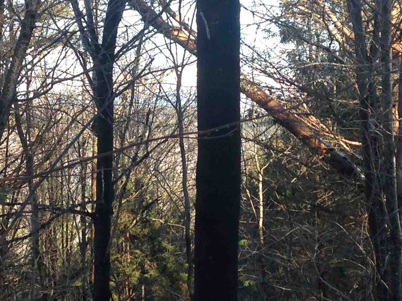 0 Turcott Road Wolcott, VT 05680 - Photo 12 of 24