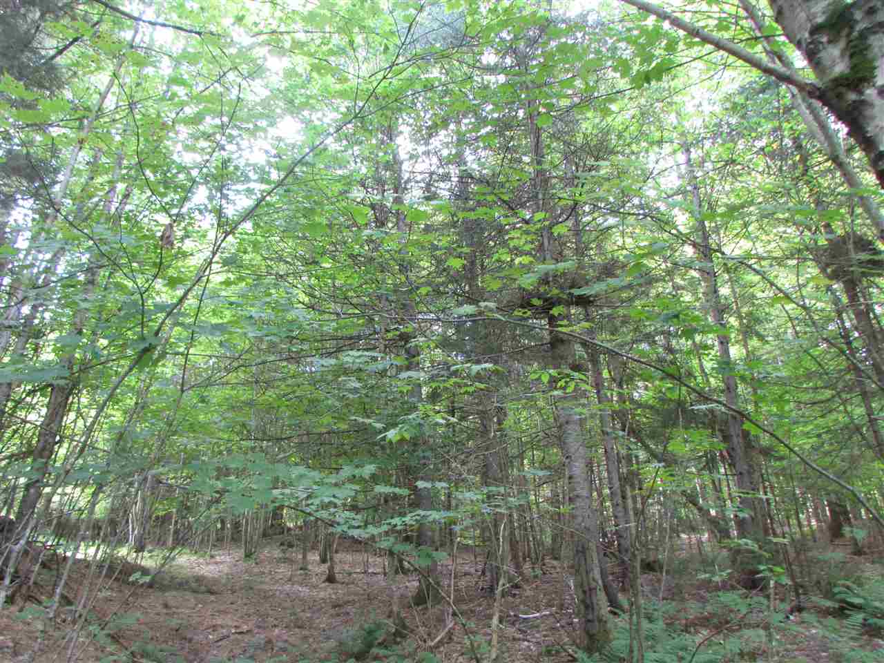 0 Turcott Road Wolcott, VT 05680 - Photo 15 of 24