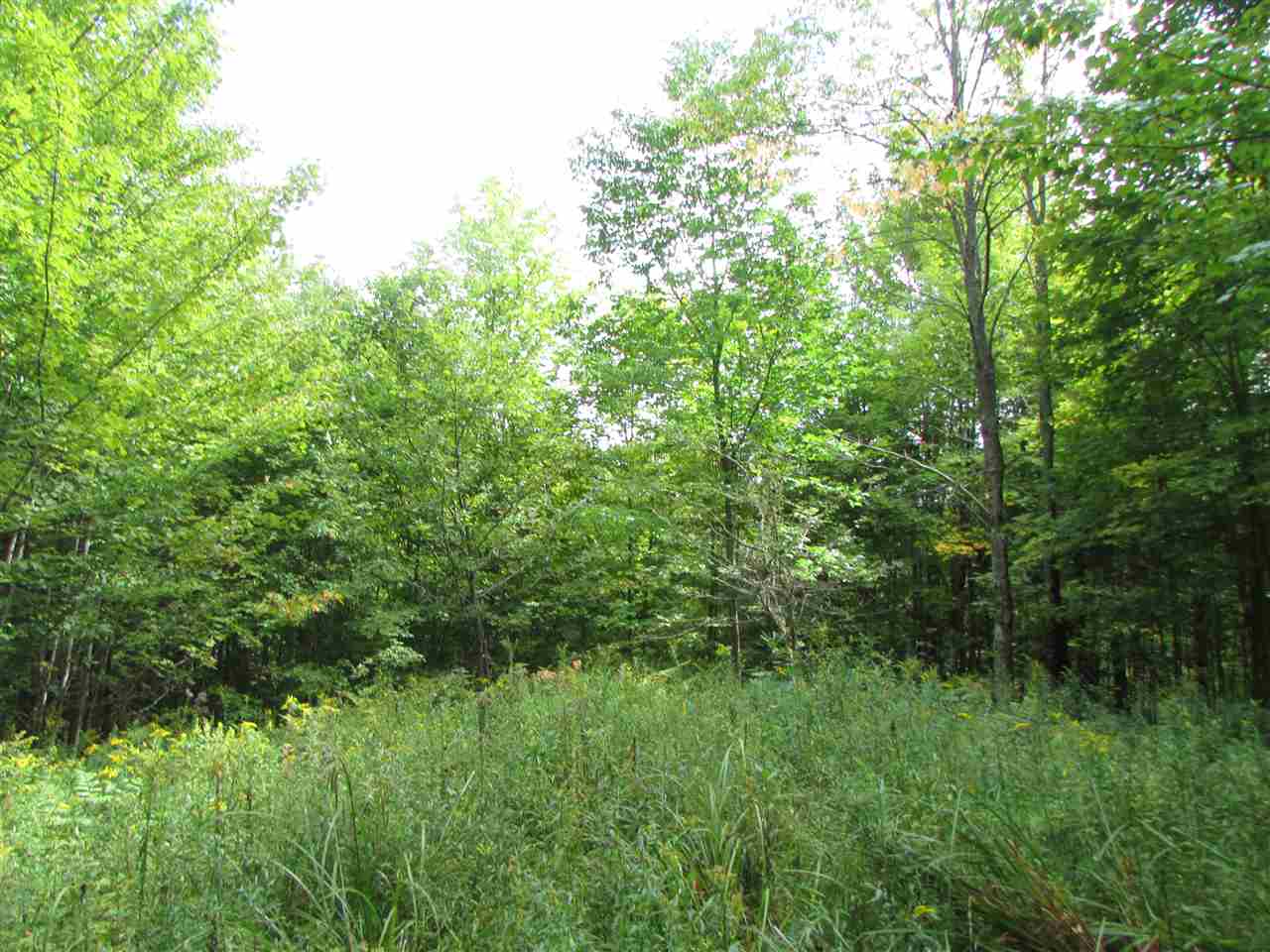 0 Turcott Road Wolcott, VT 05680 - Photo 17 of 24