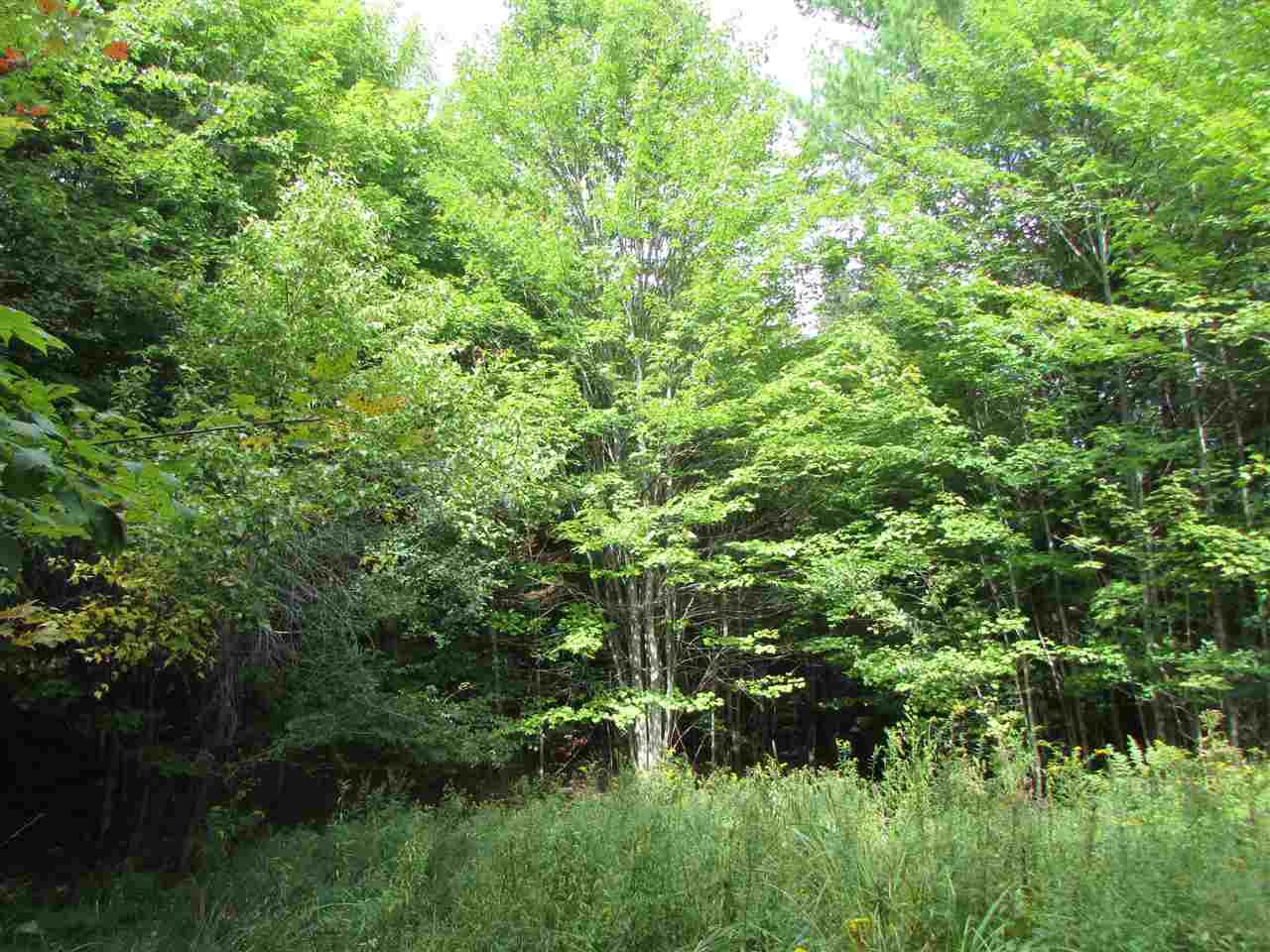 0 Turcott Road Wolcott, VT 05680 - Photo 18 of 24