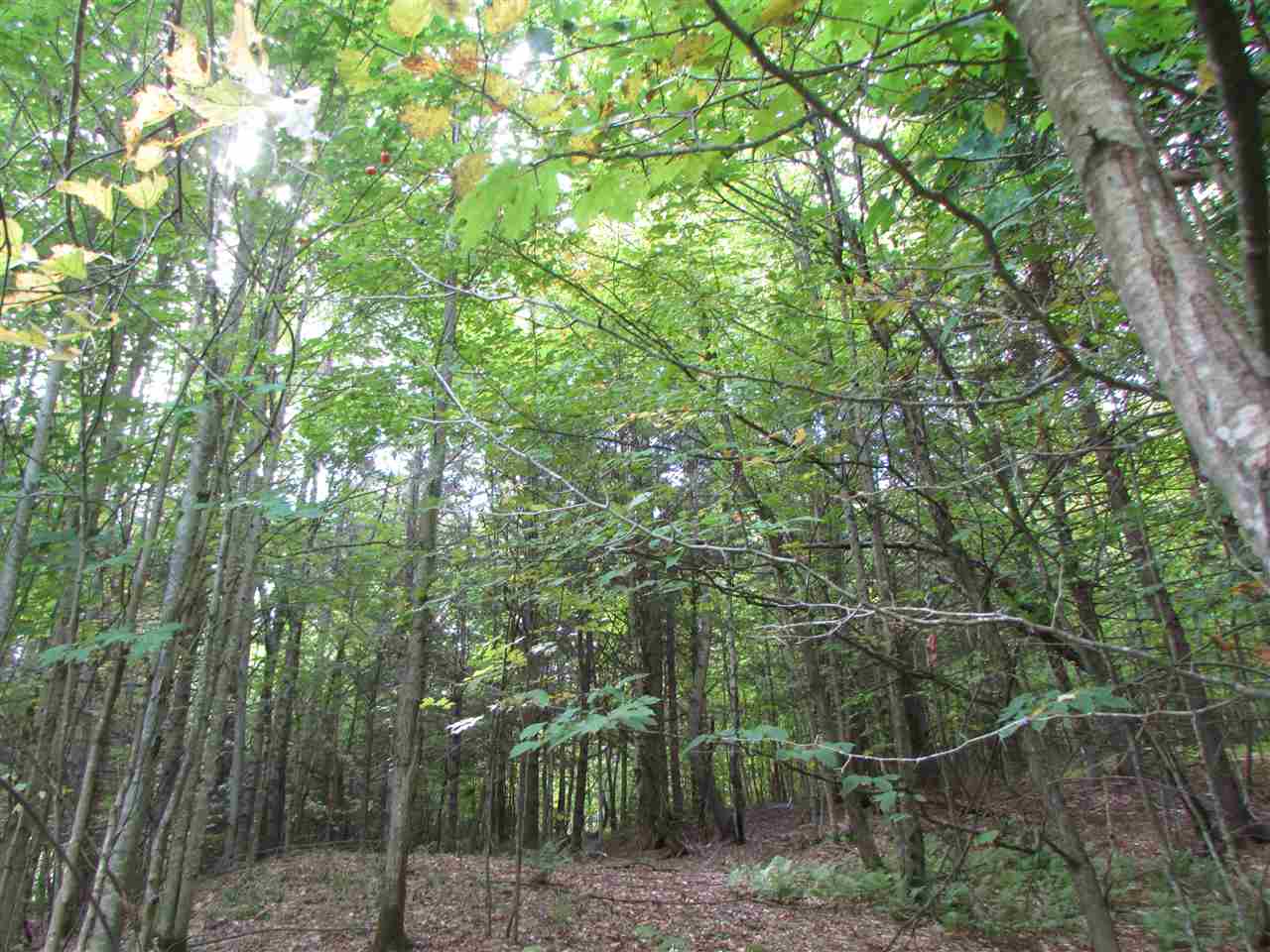 0 Turcott Road Wolcott, VT 05680 - Photo 19 of 24