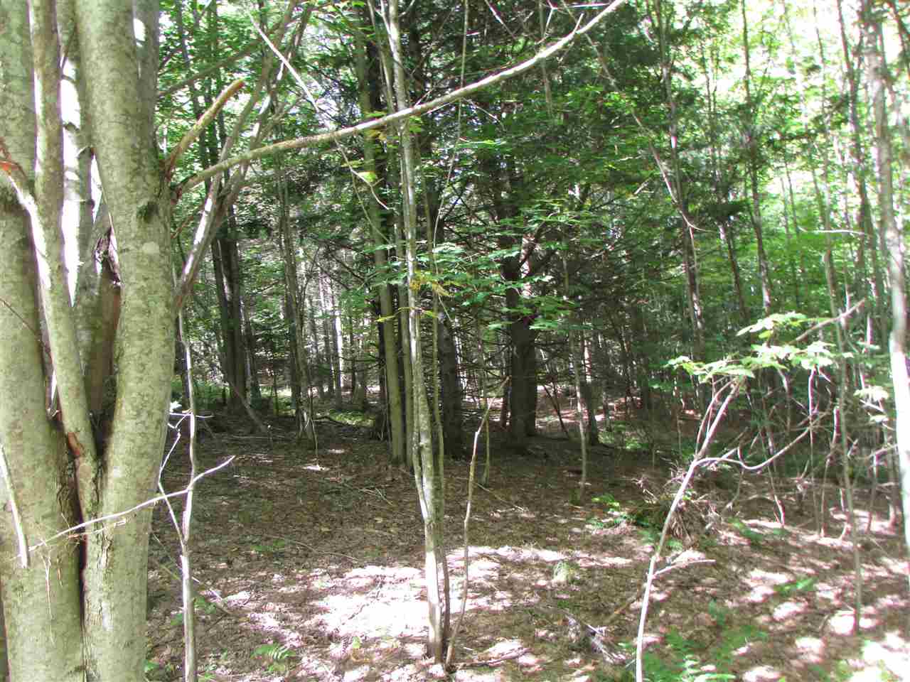 0 Turcott Road Wolcott, VT 05680 - Photo 20 of 24