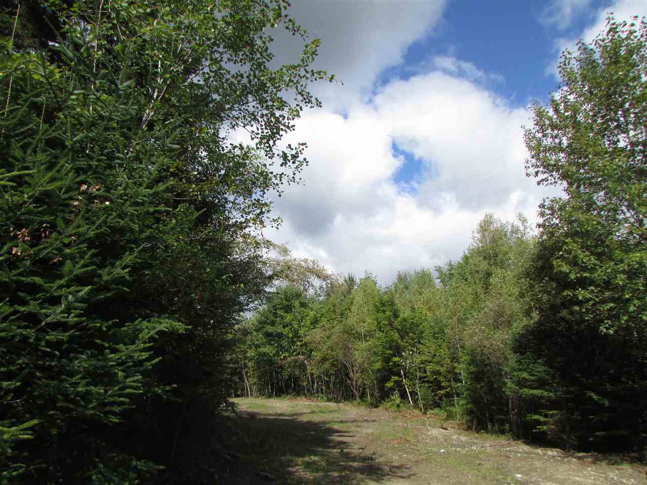 0 Turcott Road Wolcott, VT 05680 - Photo 2 of 24
