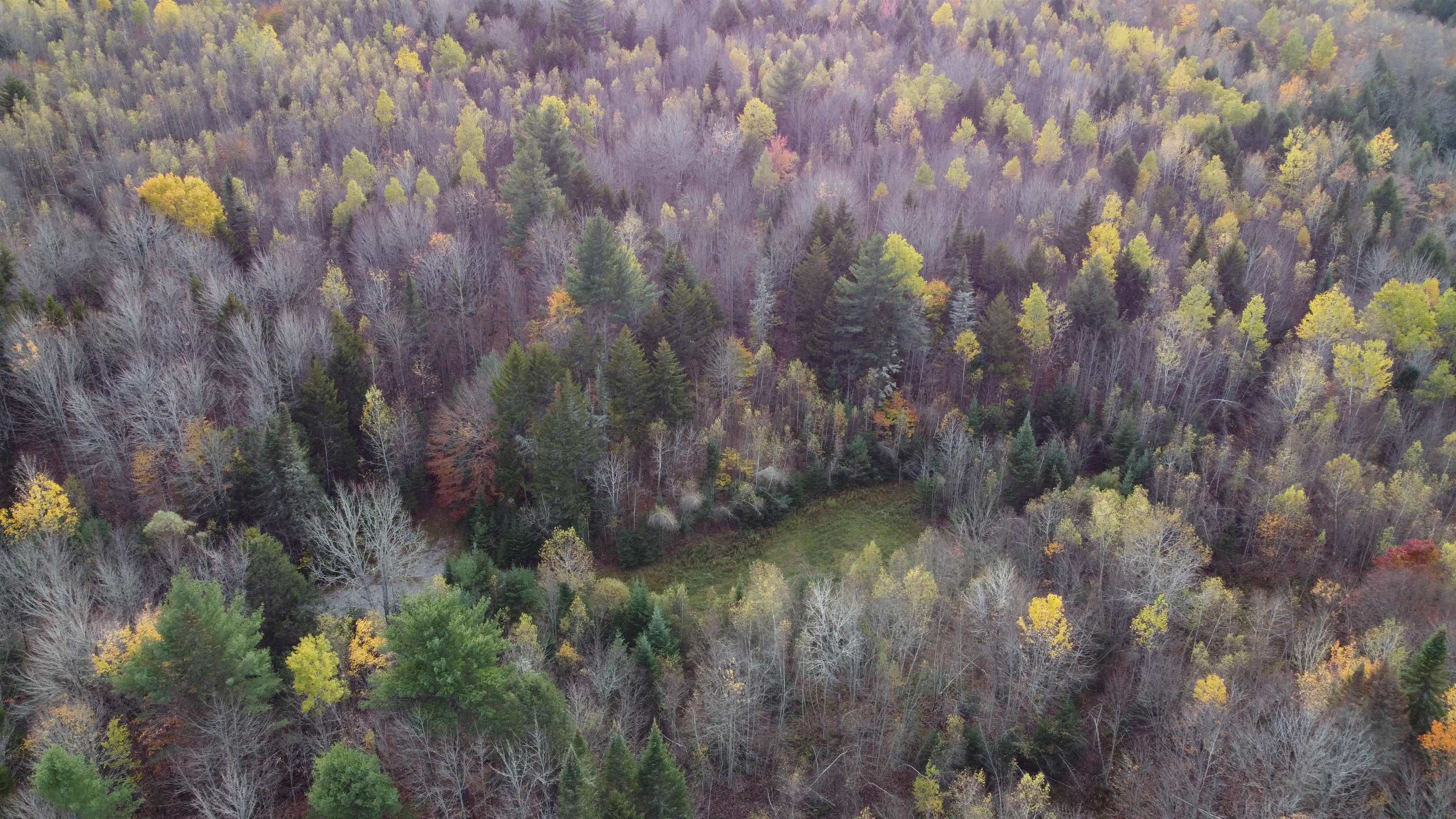 0 Turcott Road Wolcott, VT 05680 - Photo 23 of 24