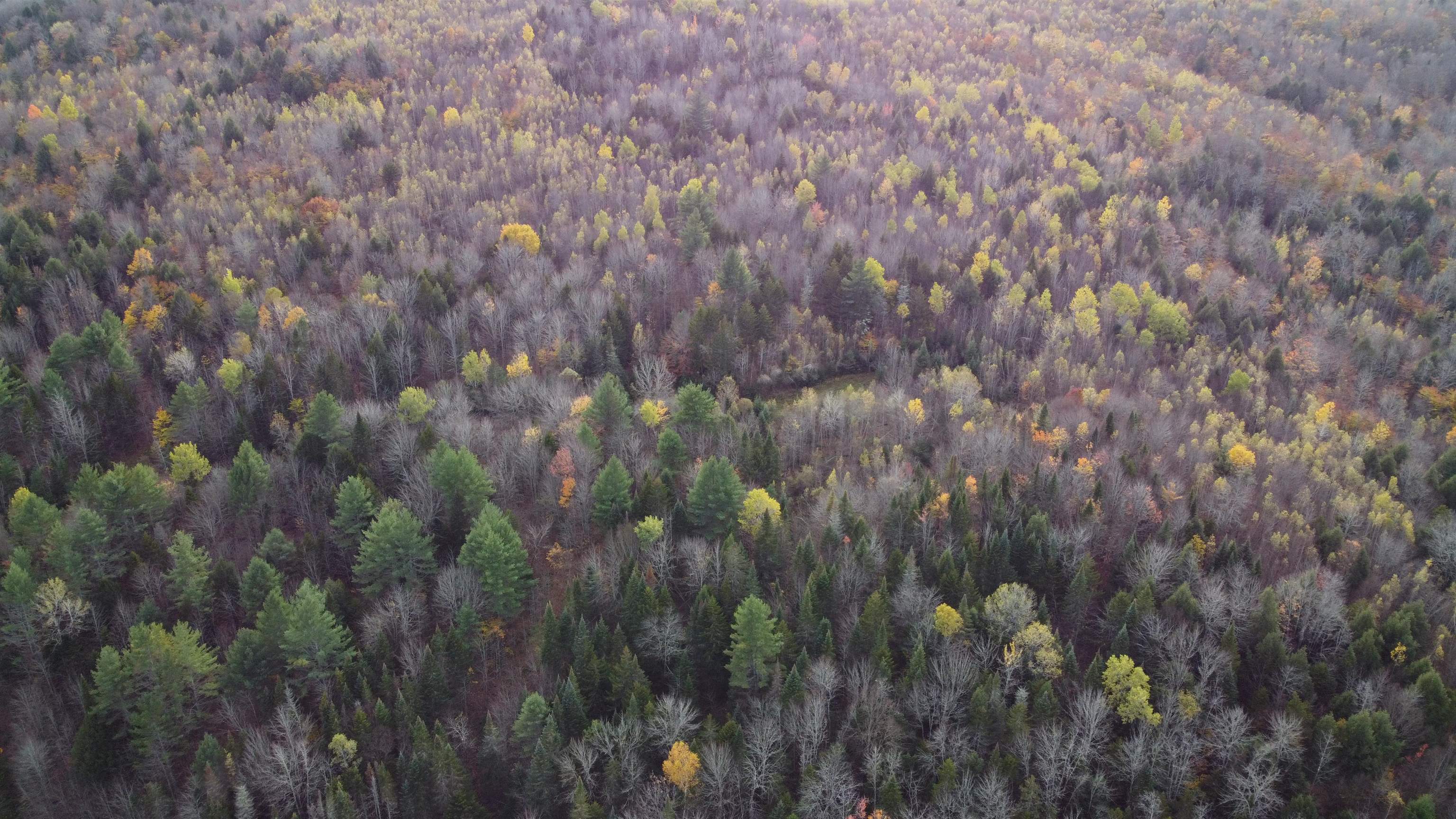 0 Turcott Road Wolcott, VT 05680 - Photo 24 of 24