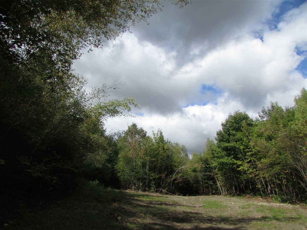 0 Turcott Road Wolcott, VT 05680 - Photo 6 of 24