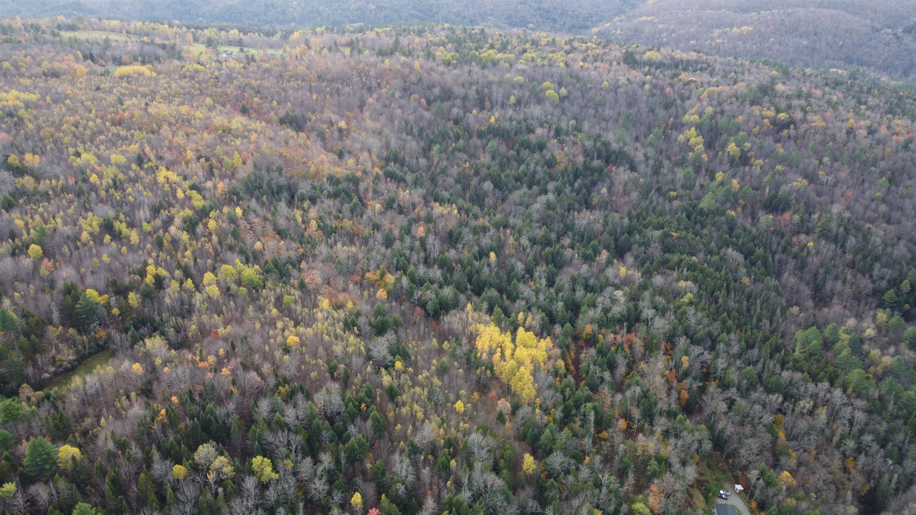 0 Turcott Road Wolcott, VT 05680 - Photo 8 of 24