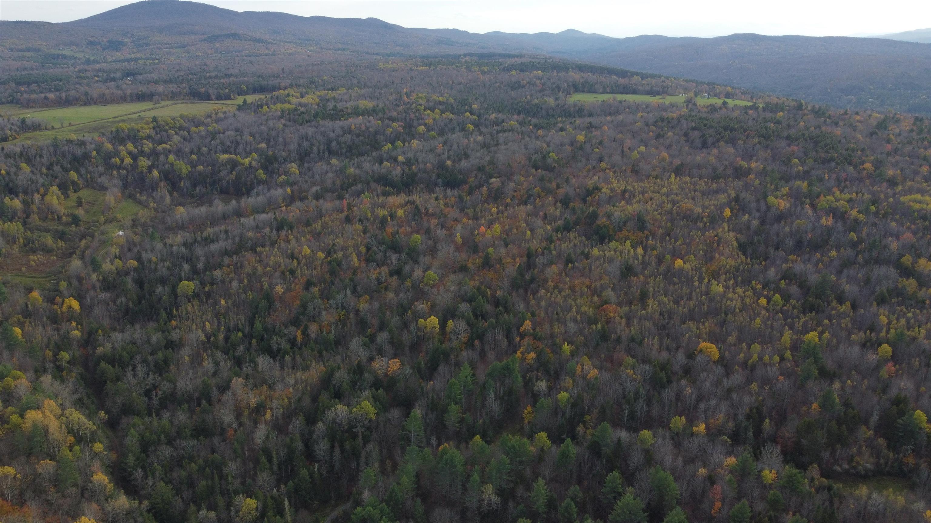 0 Turcott Road Wolcott, VT 05680 - Photo 10 of 24