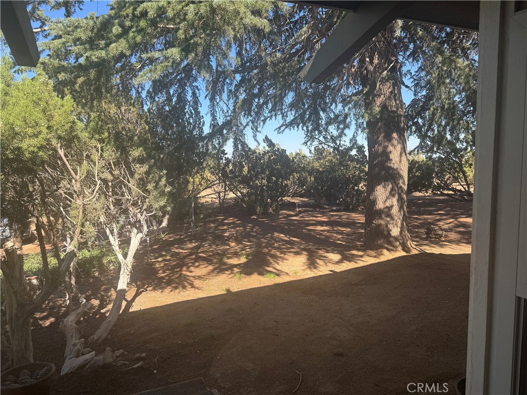 4501 Nielson Phelan, CA 92371 - Photo 6 of 33 a view of tree