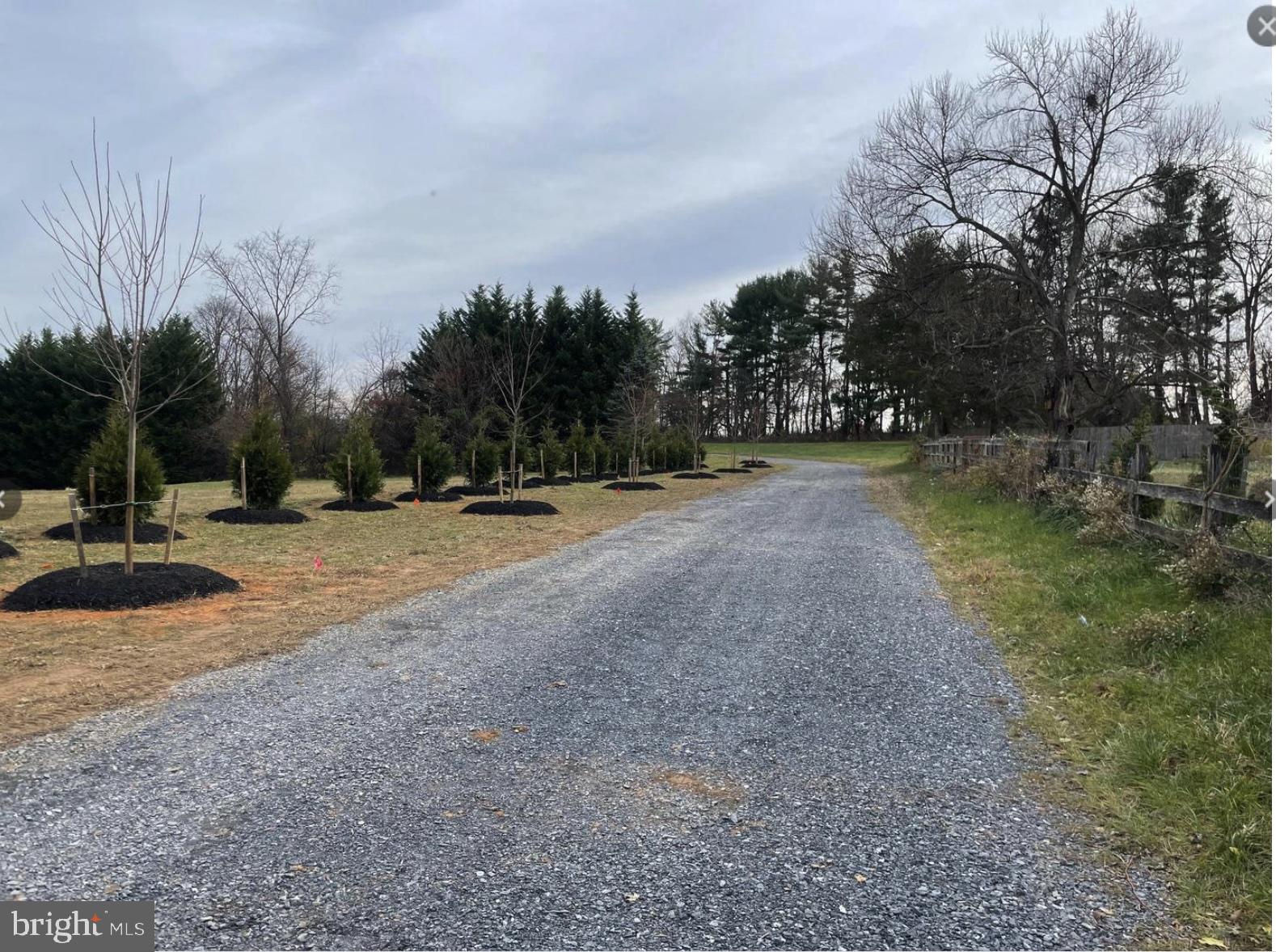 13943 Old Hanover Road Reisterstown, MD 21136 - Photo 14 of 17 a view of outdoor space with trees