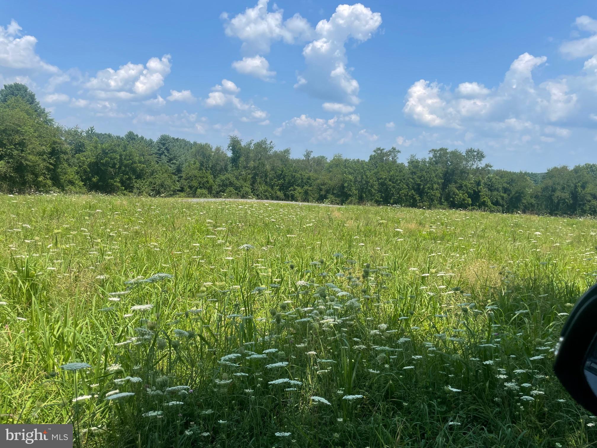 13943 Old Hanover Road Reisterstown, MD 21136 - Photo 2 of 17 a view of a yard with a tree