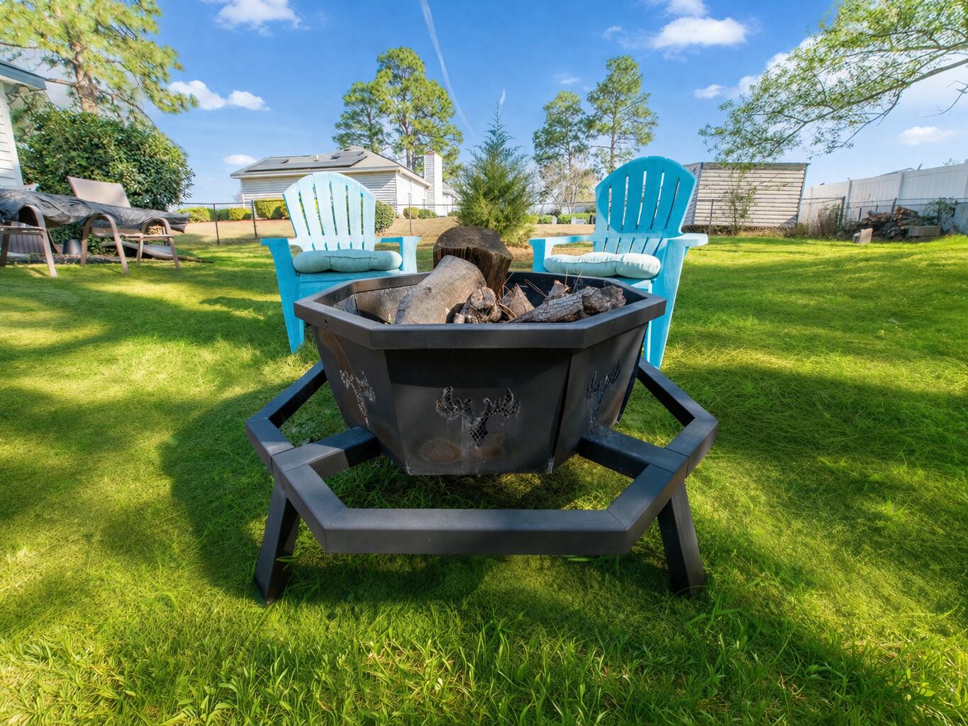 110 Baron Place North Augusta, SC 29841 - Photo 19 of 22 Firepit!
