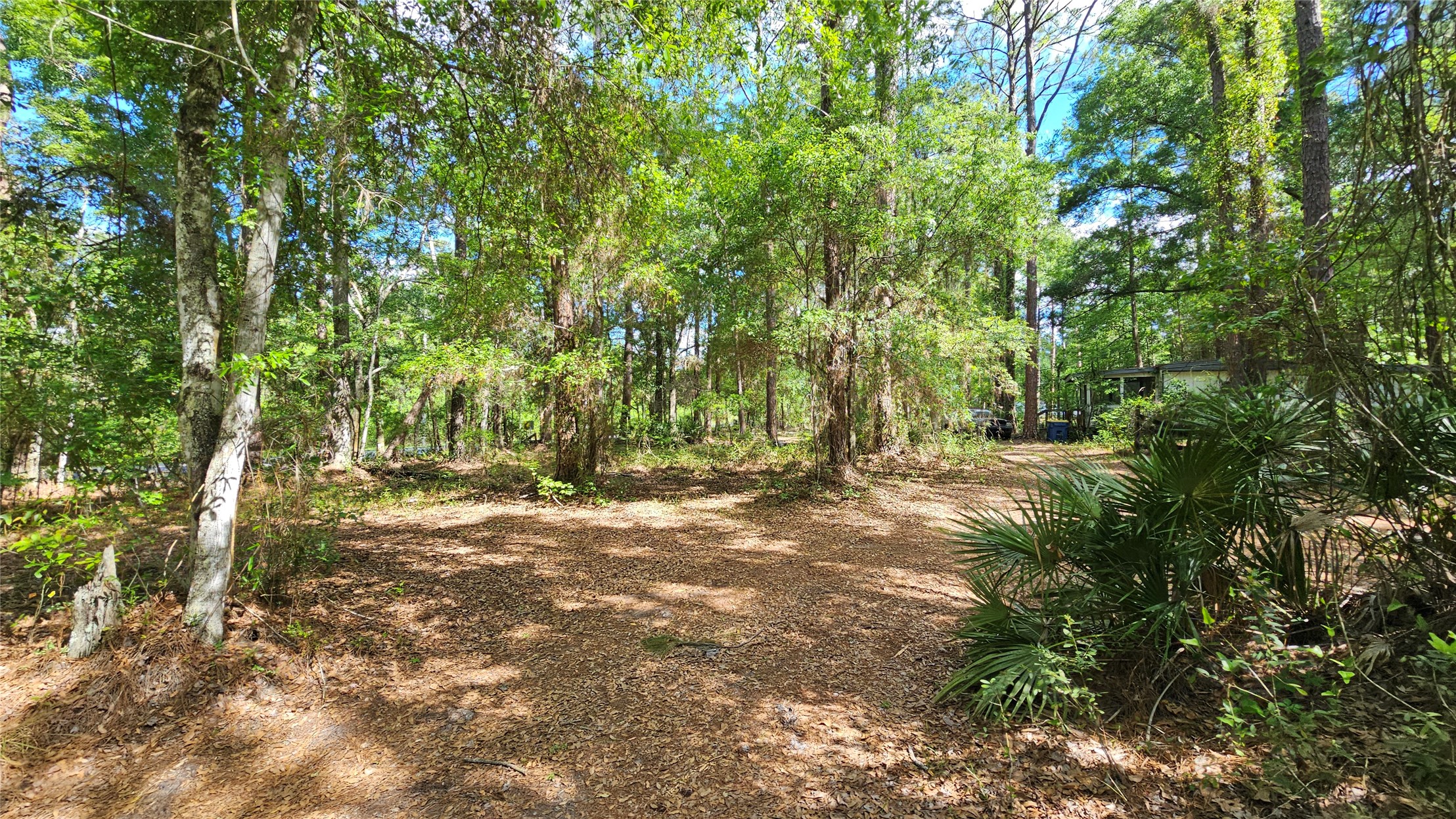 6324 Lannie Road Jacksonville, FL 32218 - Photo 17 of 60