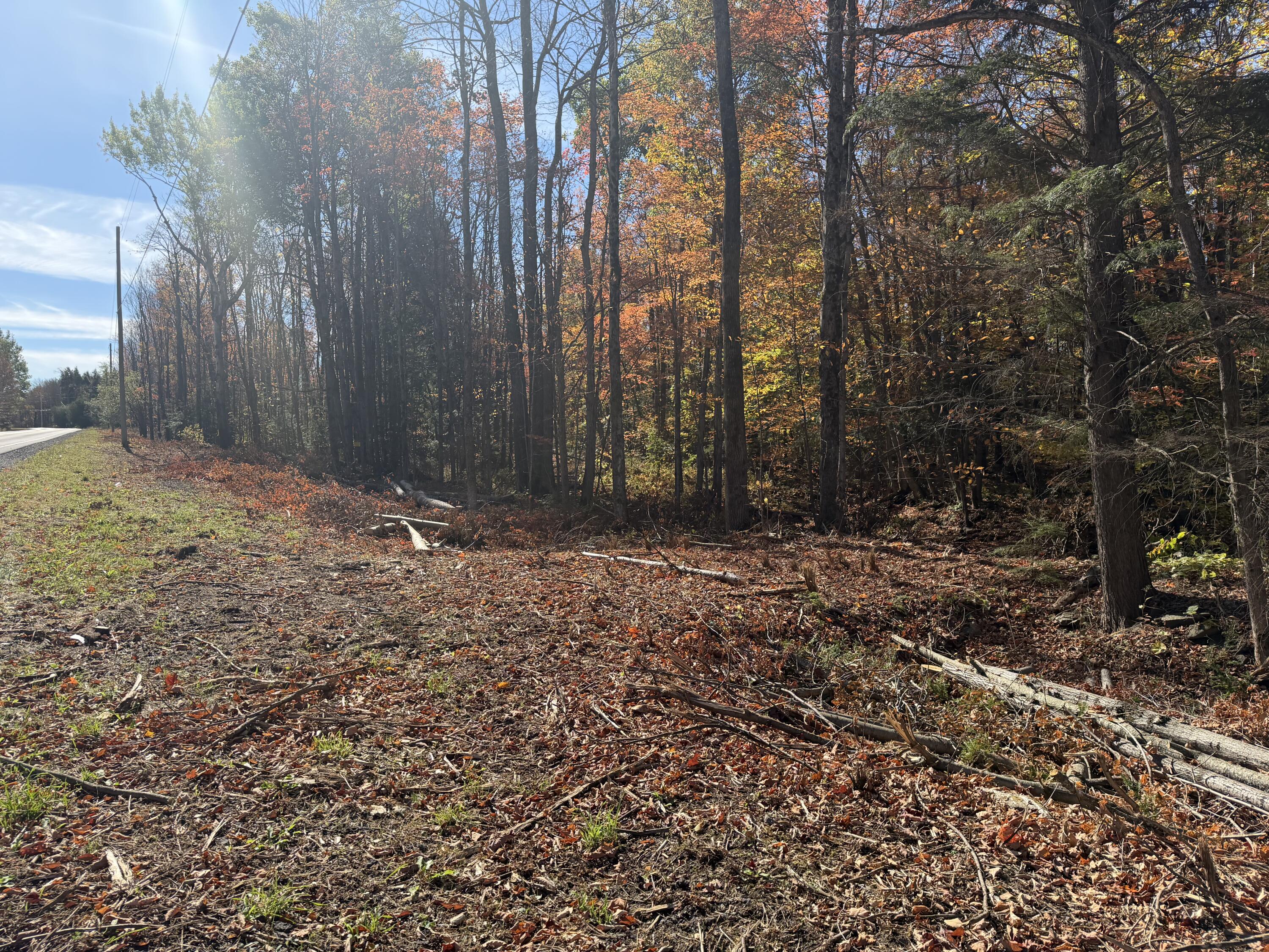 0 Rand Hill Road Morrisonville, NY 12962 - Photo 2 of 10