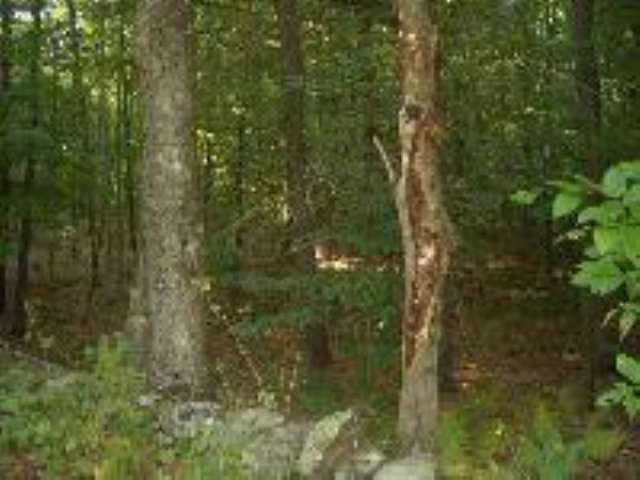 1 B Alpine Meadows Road Greenfield, NY 12859 - Photo 1 of 3 Photo 1