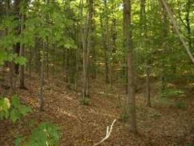 1 B Alpine Meadows Road Greenfield, NY 12859 - Photo 3 of 3 Photo 3