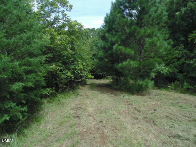 0 Kerr Lake Road Henderson, NC 27537 - Photo 14 of 22 DSC06917-DESKTOP-8UA5R2A
