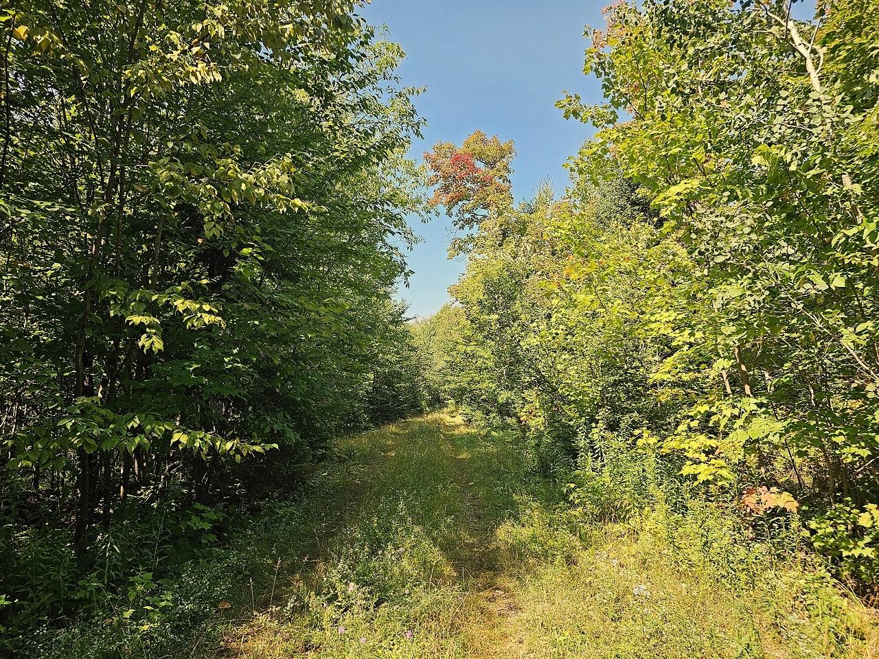 10310 North Dump Road Hurley, WI 54534 - Photo 2 of 18 Gallery Image 2