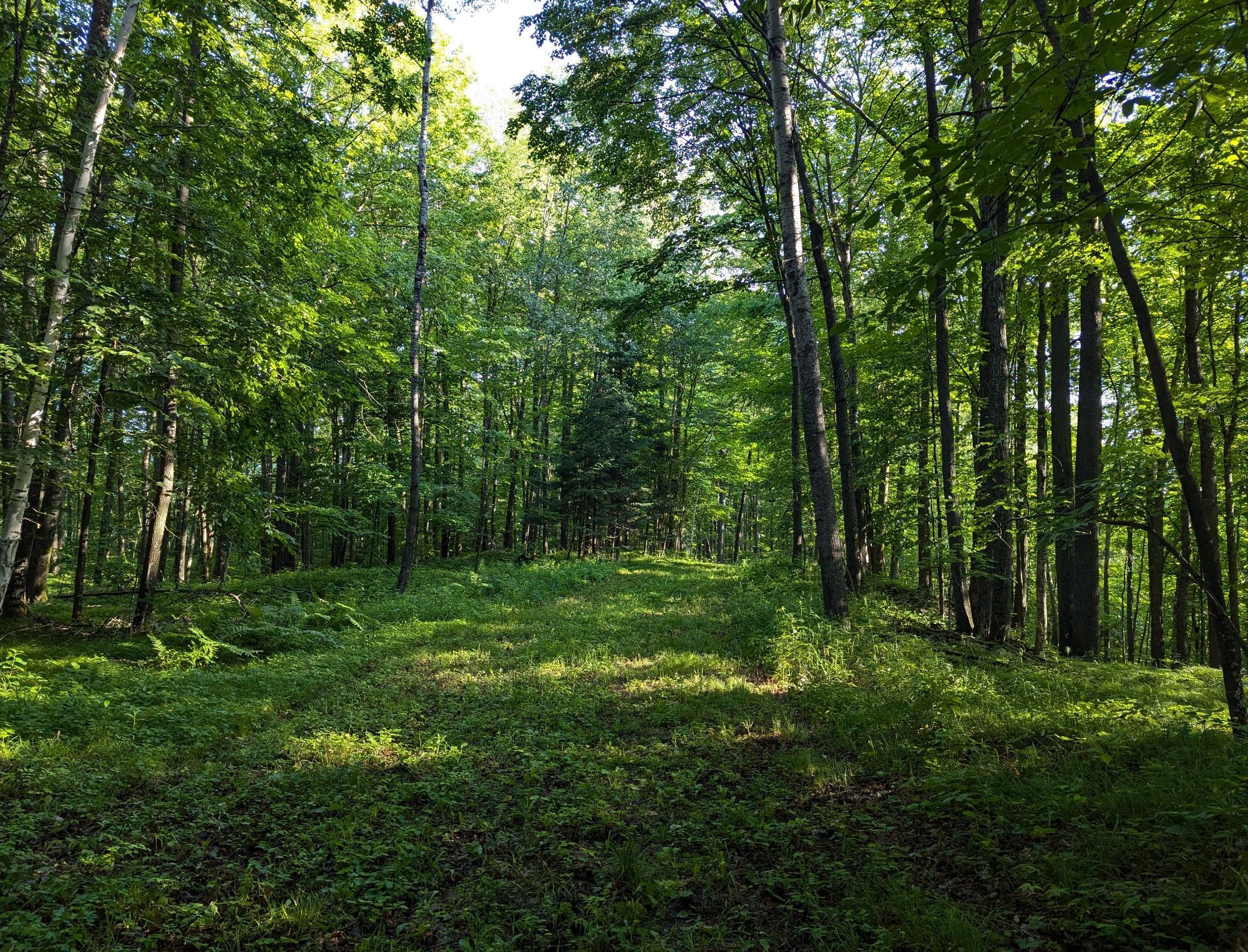 N7032 Carpenter Creek Road Phillips, WI 54555 - Photo 24 of 48 Gallery Image 24