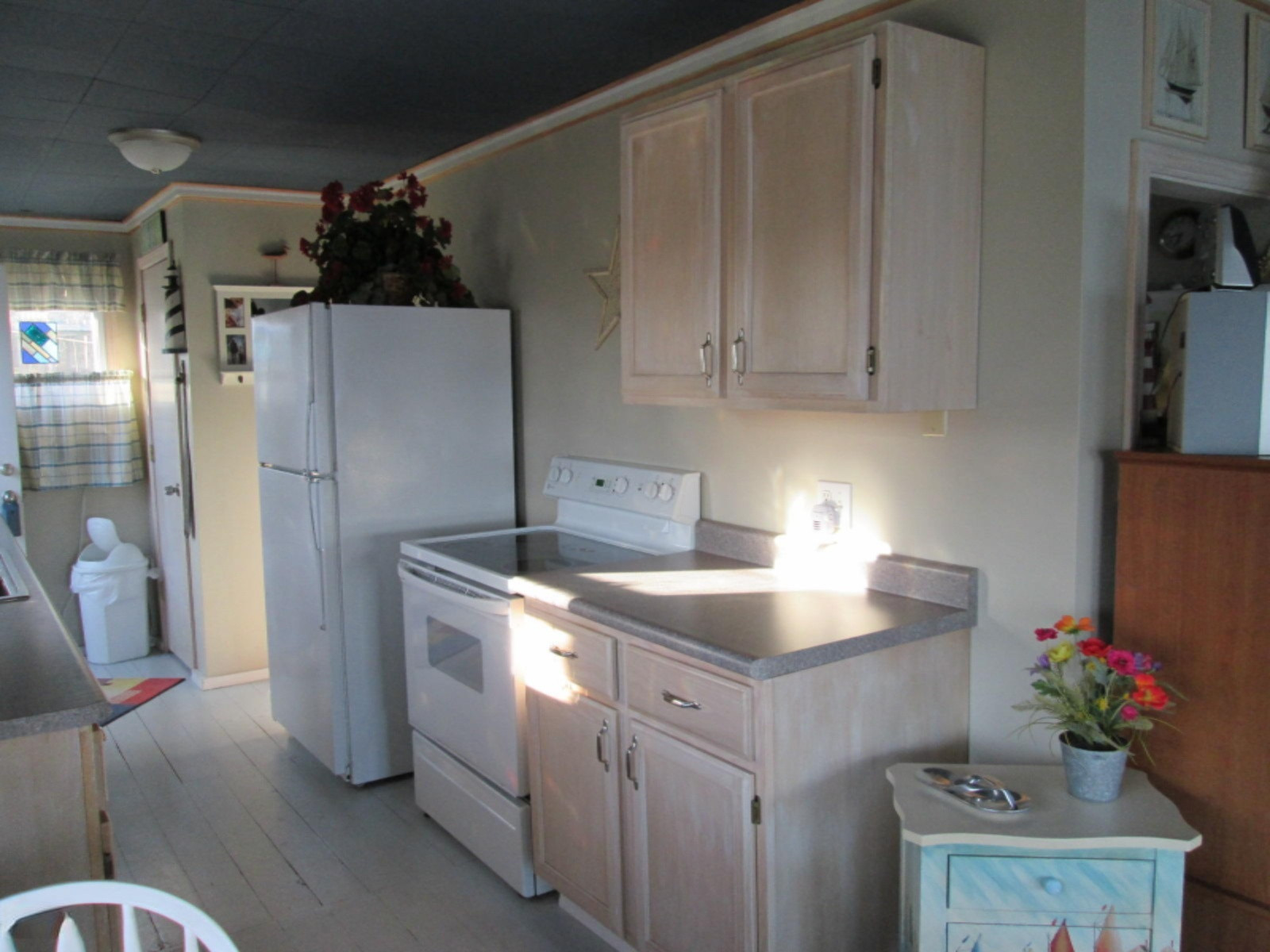 58455 Loop Road Three Rivers, MI 49093 - Photo 7 of 25 Kitchen