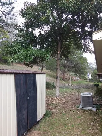 a backyard of a house