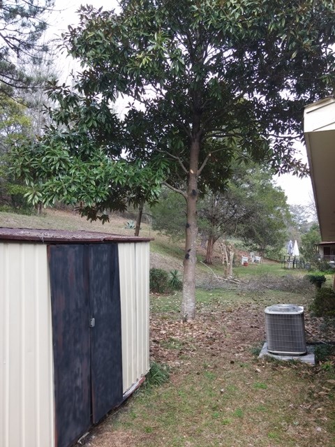 5945 Mill Branch Road Columbus, GA 31907 - Photo 7 of 7 a backyard of a house