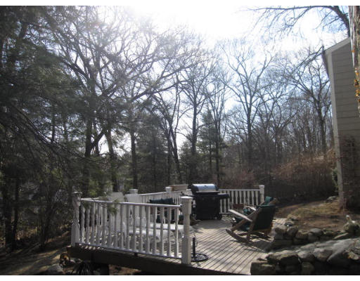 23 Robbins Road Lexington, MA 02421 - Photo 21 of 24