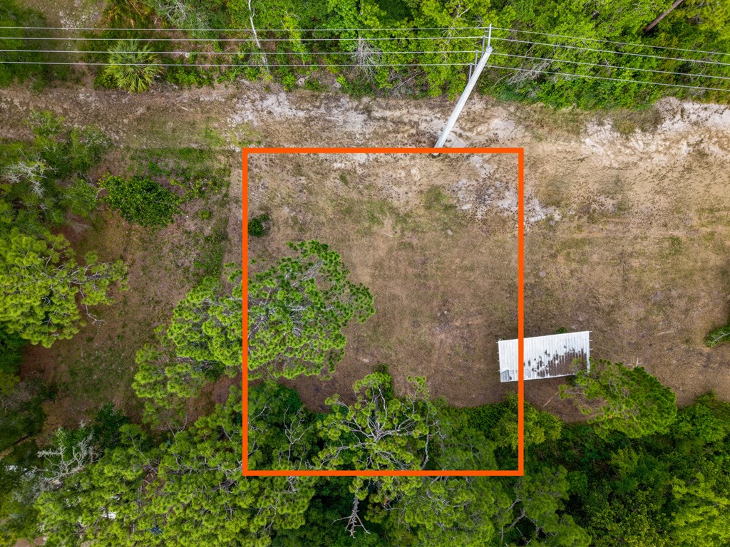 1111 Copacetic Road Carrabelle, FL 32322 - Photo 5 of 10
