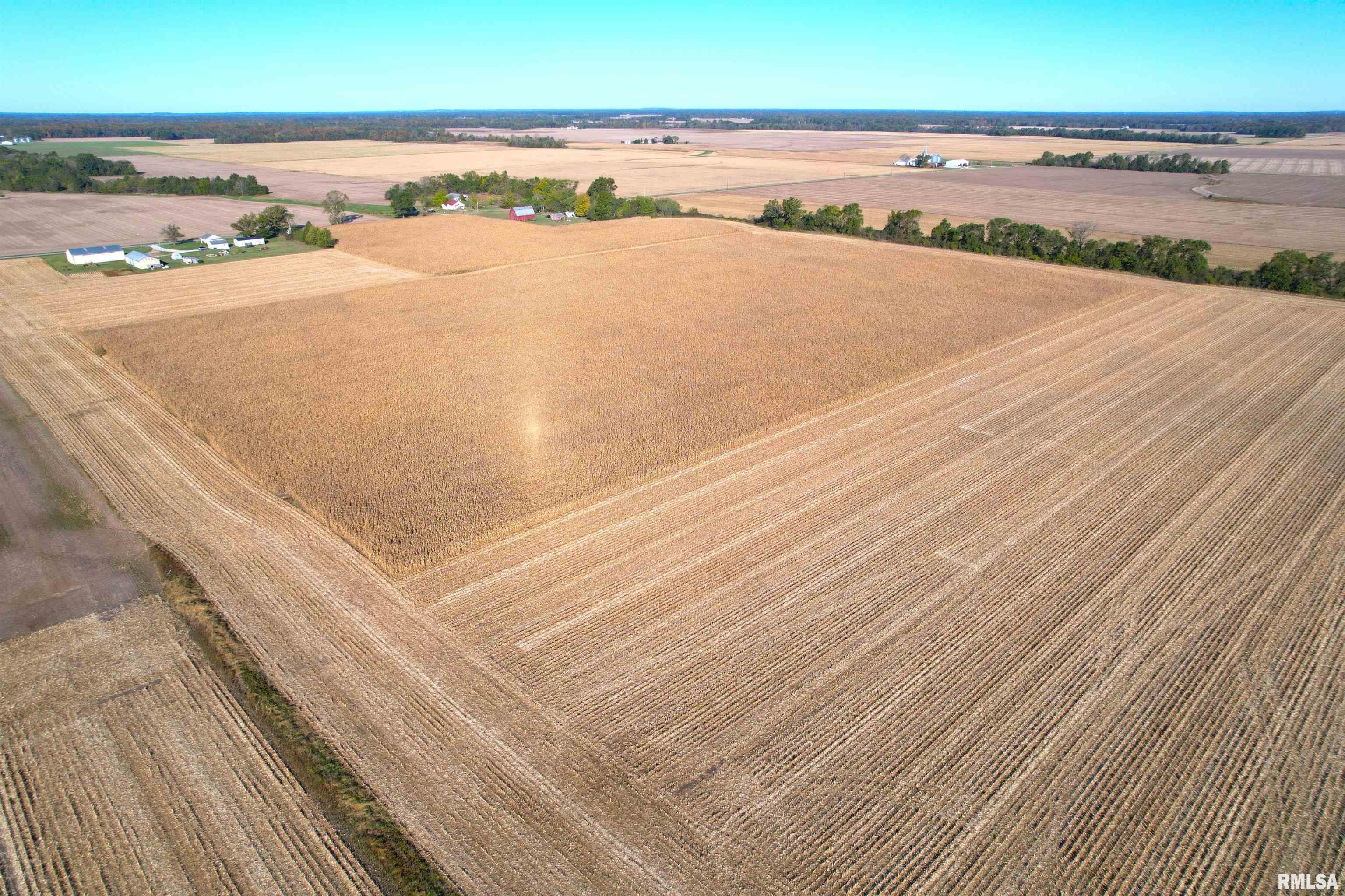 2000 East Rd Street St. Peter, IL 62880 - Photo 2 of 11