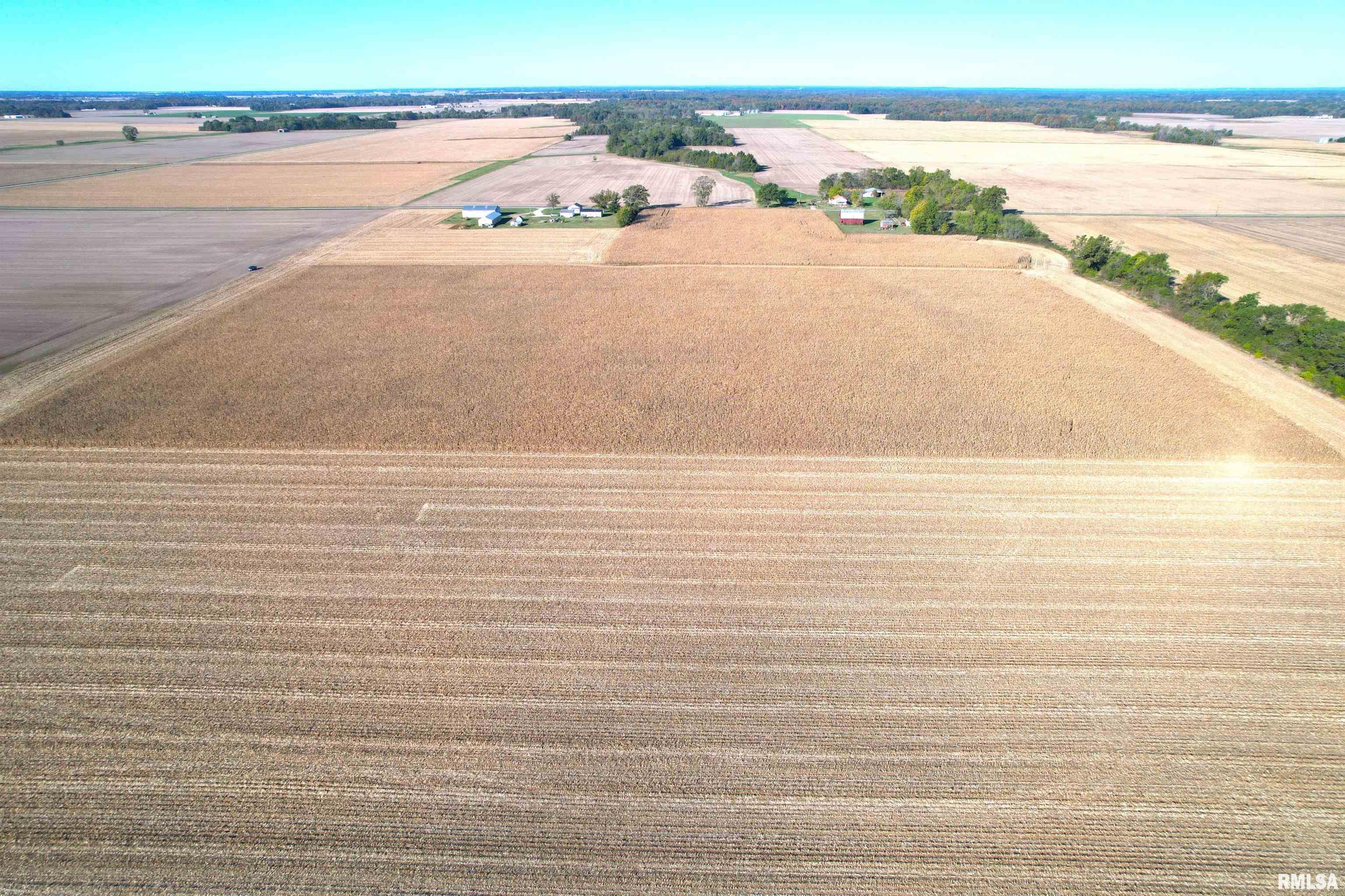 2000 East Rd Street St. Peter, IL 62880 - Photo 3 of 11