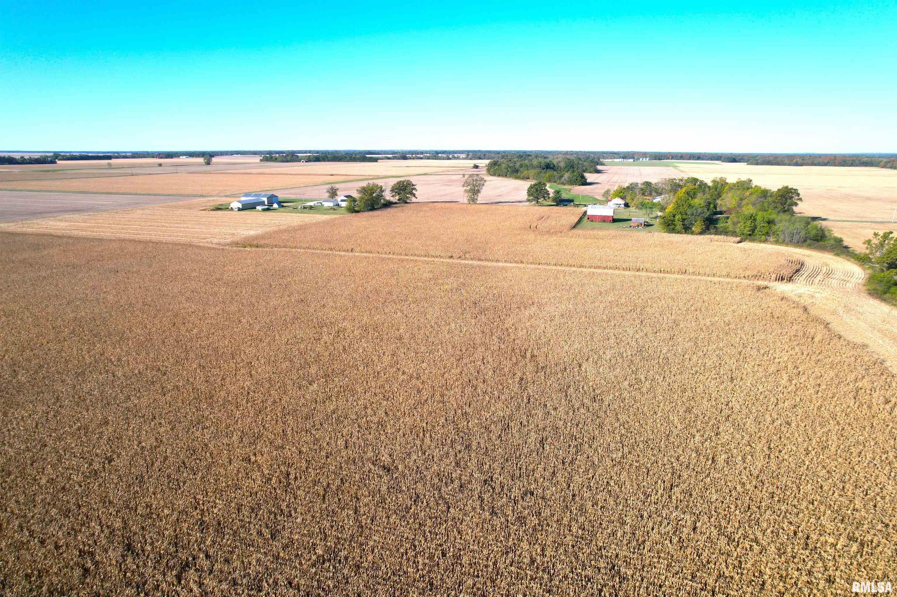 2000 East Rd Street St. Peter, IL 62880 - Photo 4 of 11