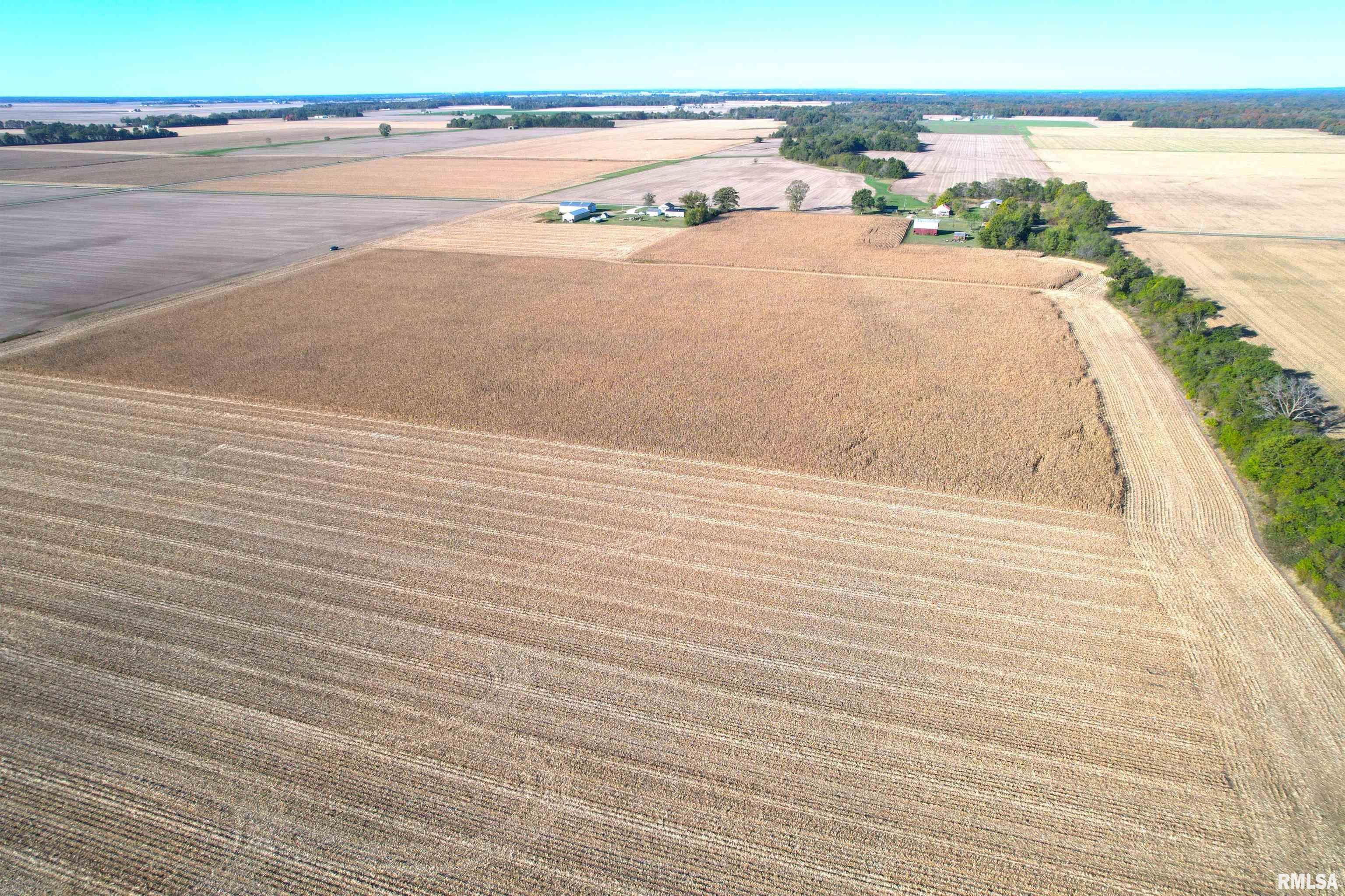 2000 East Rd Street St. Peter, IL 62880 - Photo 5 of 11