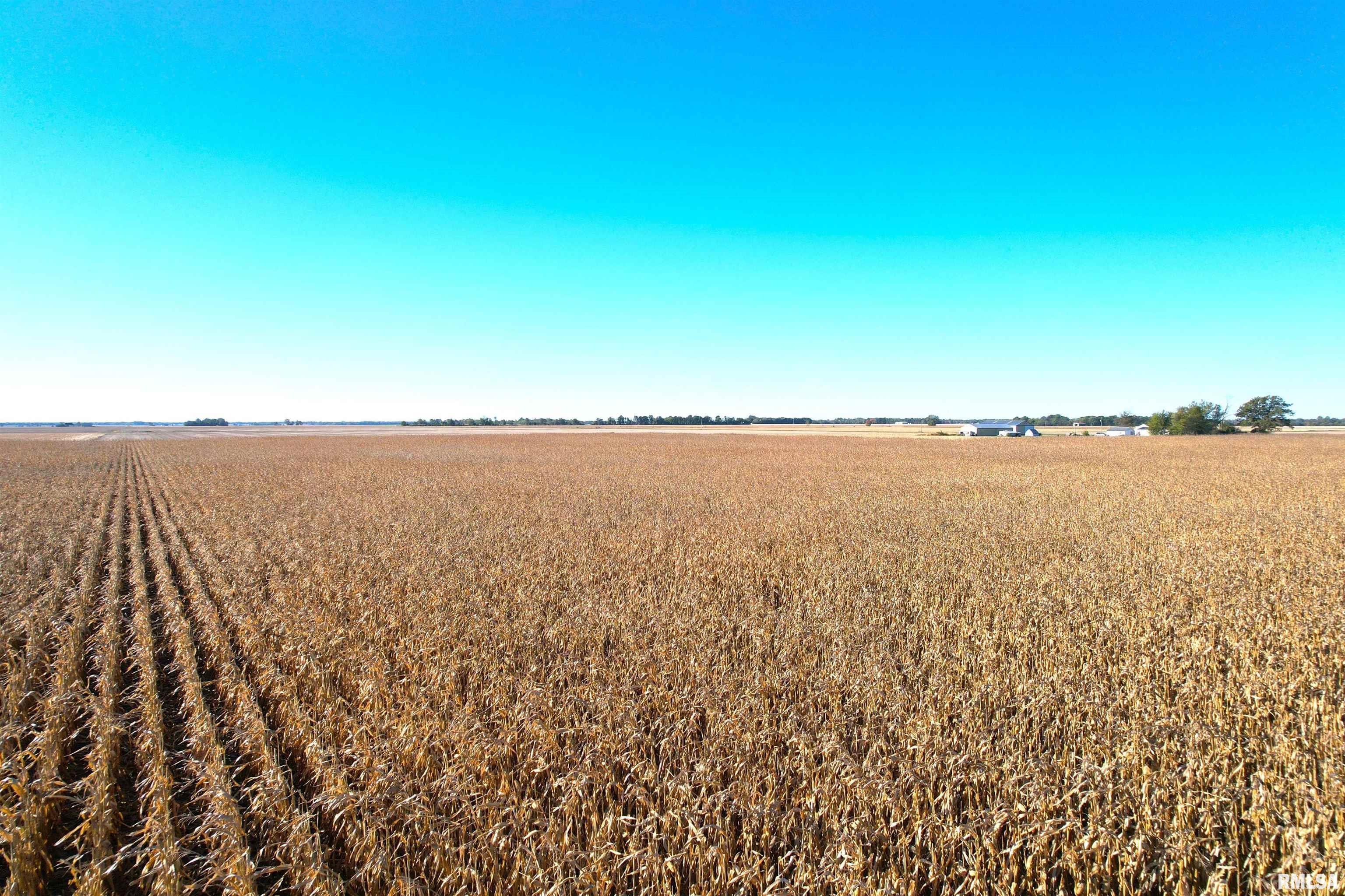 2000 East Rd Street St. Peter, IL 62880 - Photo 6 of 11