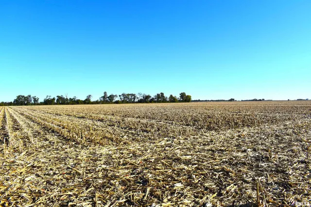 $582,800 | 2000 East Rd Street, St. Peter, IL 62880