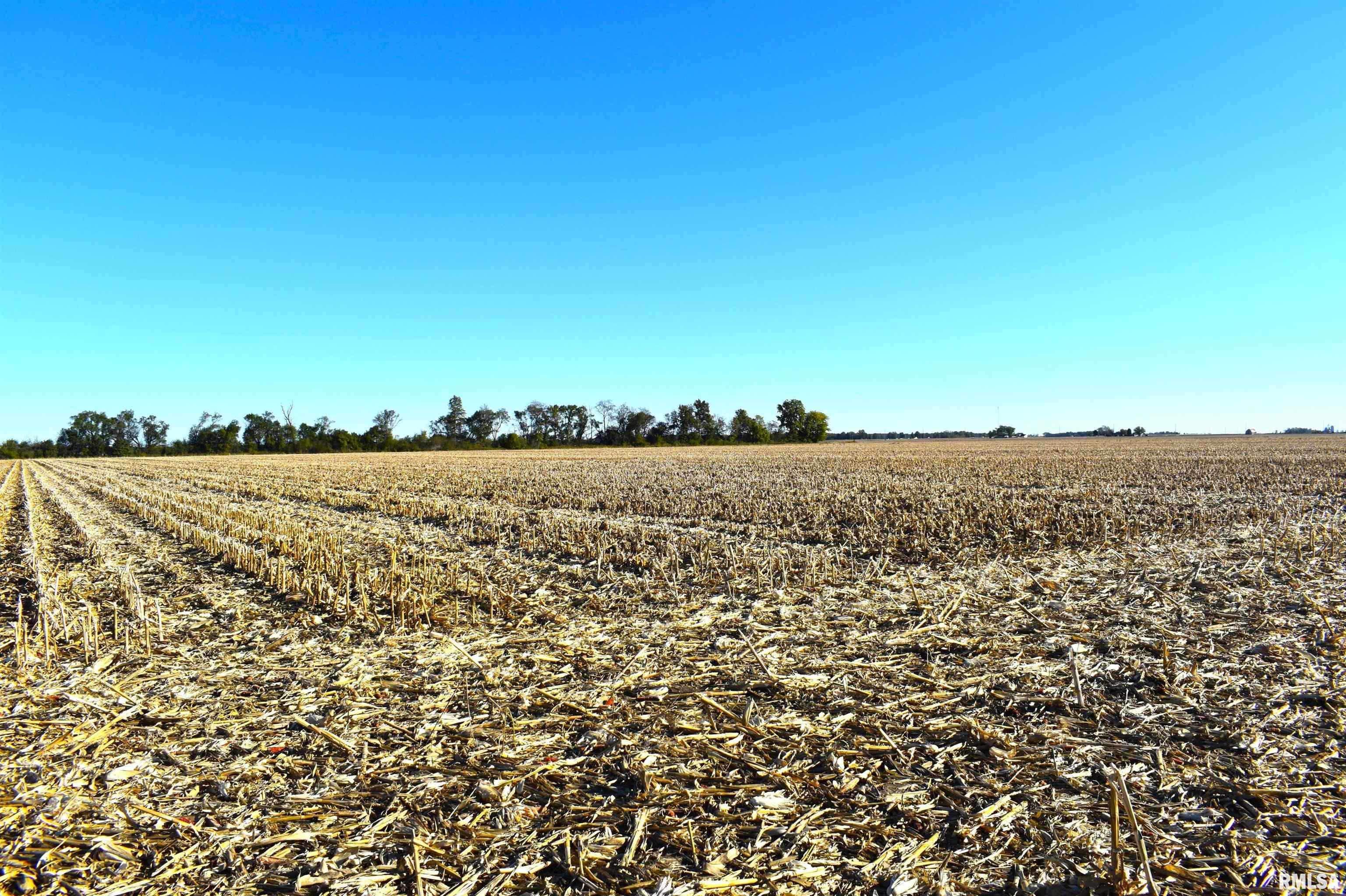 2000 East Rd Street St. Peter, IL 62880 - Photo 8 of 11