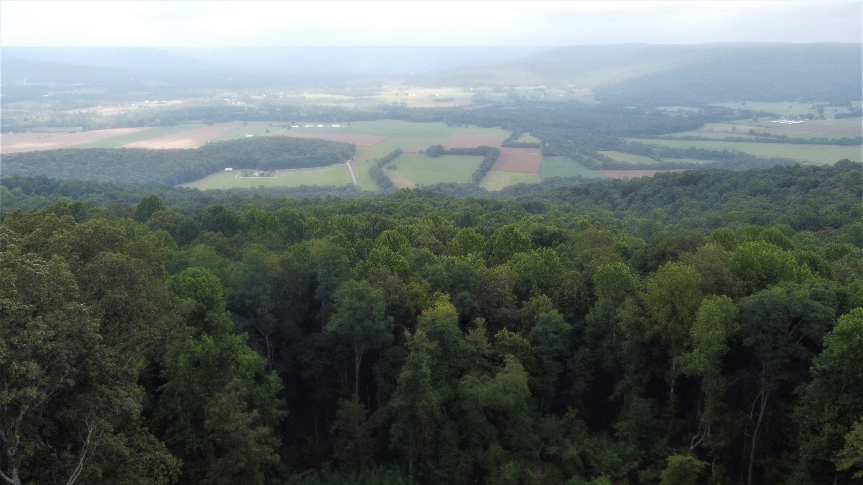 2 Rising Sun Lane Pelham, TN 37366 - Photo 2 of 39 DJI_0266